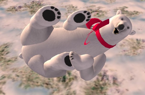 vkc_polar_bear_02