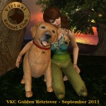 VKC Golden Retriever Release Teaser 05